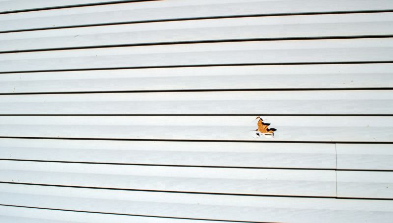 Inspection and Assessment